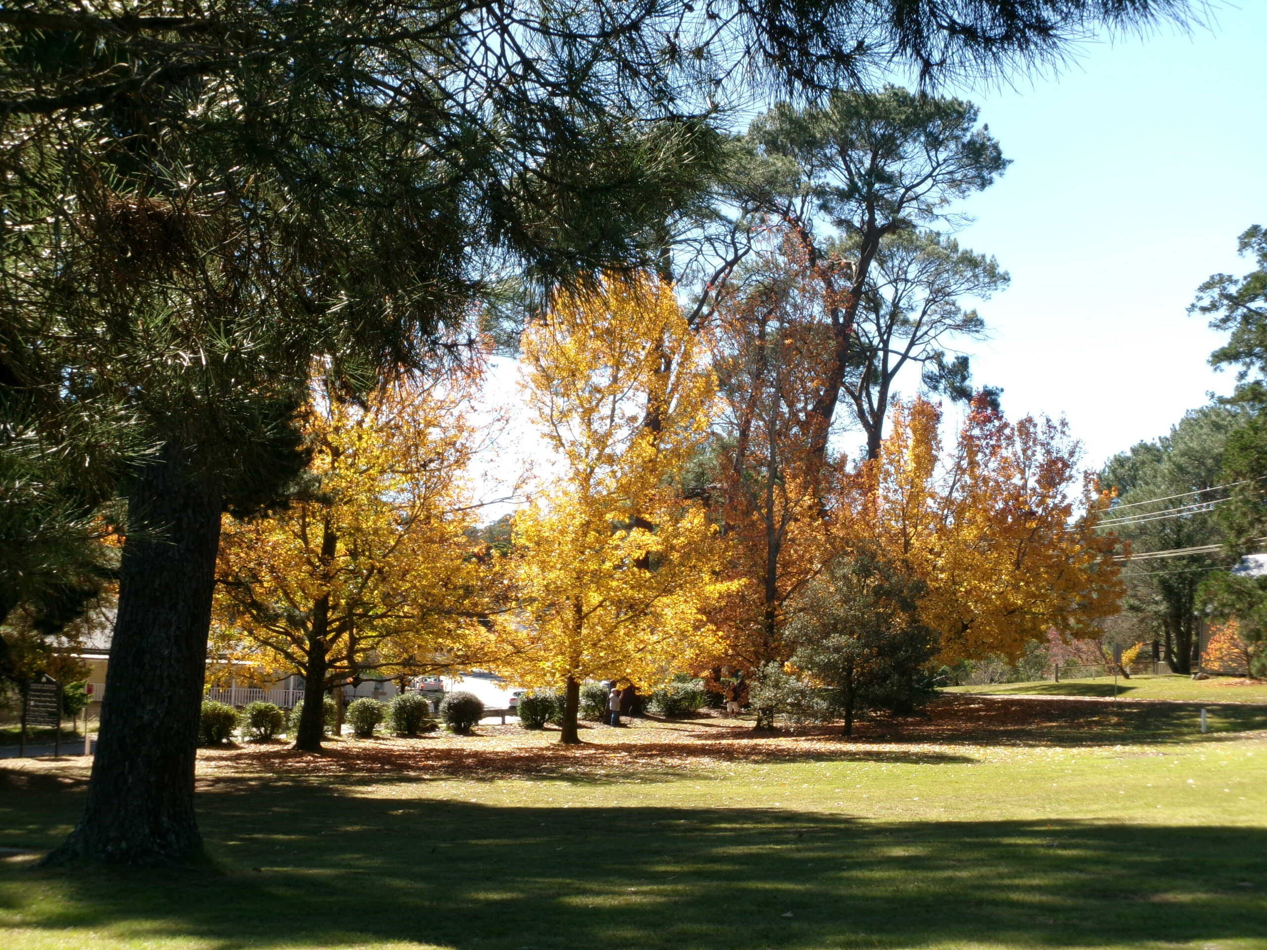 Berrima