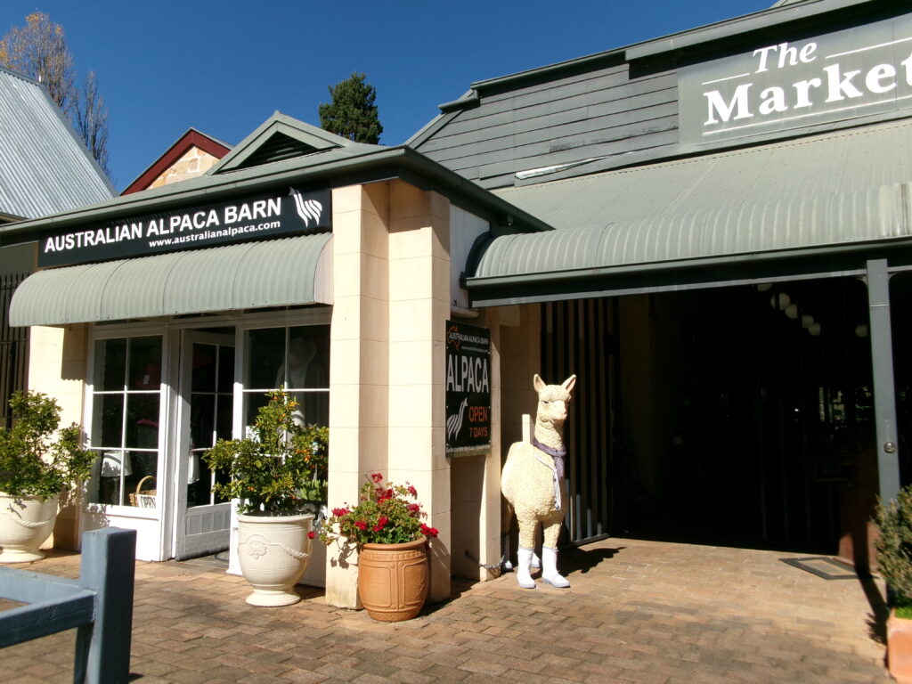 Visiting the Australian Alpaca Barn storefront in Berrima village, Southern Highlands NSW is one of the things to do in Berrima.