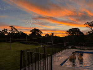 Best Boutique Accommodation in Berrima for Groups