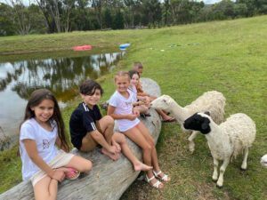 Animal feeding