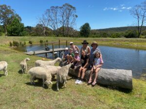 Berrima Retreat_Sheep_Alpaca_017