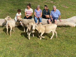 Guests at Berrima Retreat enjoying the company of the sheeps.