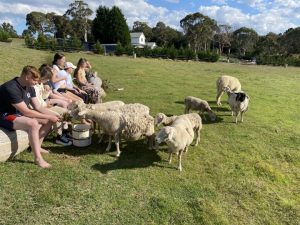 Family Reunion Accommodation