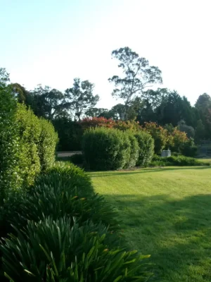 Outdoors