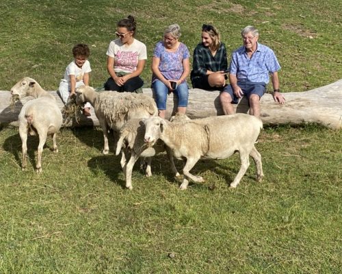 Guests at Berrima Retreat enjoying the company of the sheeps.