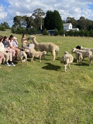 Communal spaces that work for everyone, with group accommodation Accessibility in Berrima.
